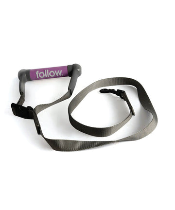 Follow Dog Lead - Grey / Purple